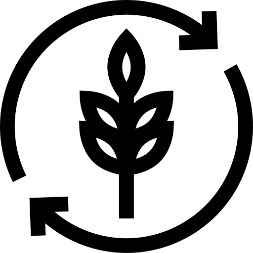 Unité de transformation des céréales et légumineuses